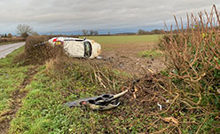 hole in hedge made by car