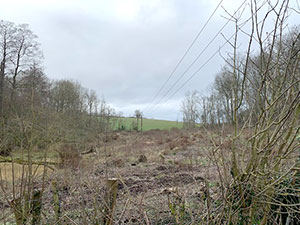 photo of resilience round telegraph poles